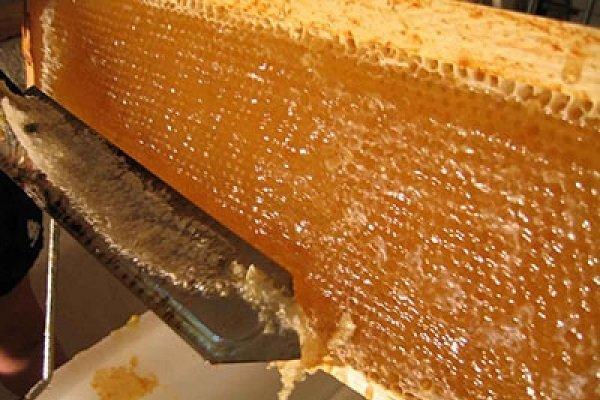 فراوری 6 هزار تن عسل در اردبیل، 83 درصد فراوریات صادر می گردد