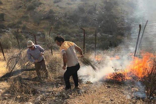 11 مورد آتش سوزی در مراتع استان زنجان اتفاق افتاده است