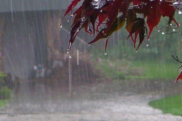 افزایش 11 درصدی بارش های سال آبی گذشته در کردستان