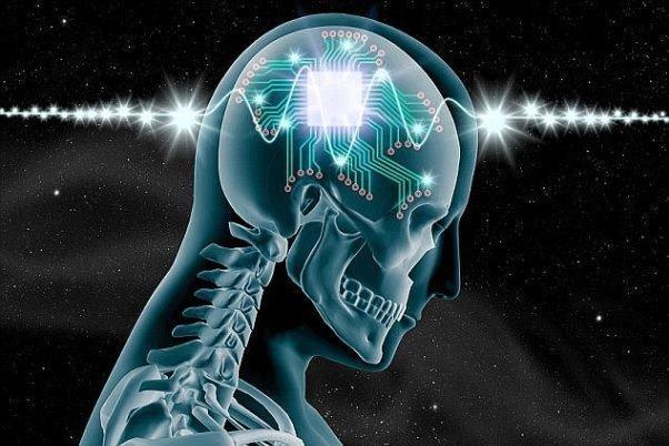 هرچه هوشت بیش، مشکل بیشتر هرچه هوشت بیش، مشکل بیشتر