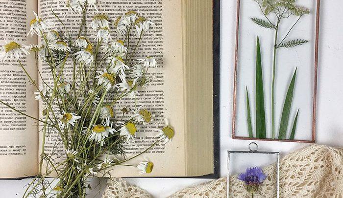 منتخبی از گردن بندهای زیبا؛هرباریوم! ، تصاویر