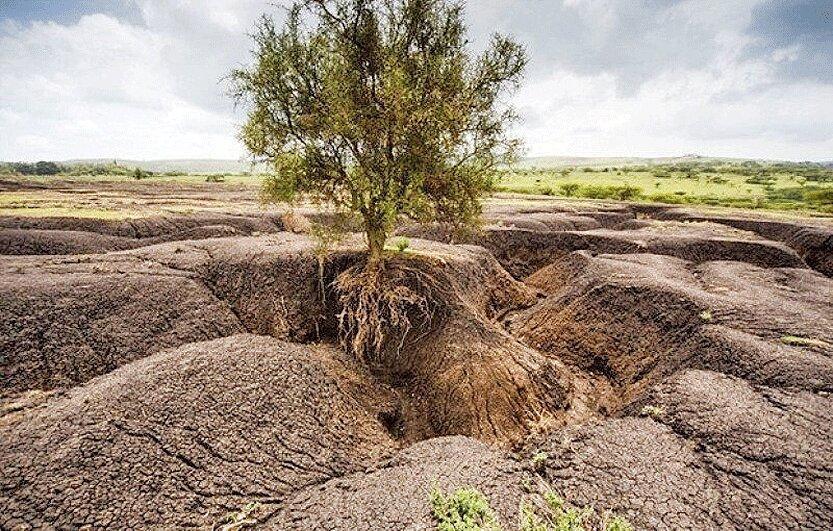هشدار نسبت به فرسایش سالانه یک میلیارد تن خاک کشور ، وجود 300 هزار حلقه چاه غیرمجاز