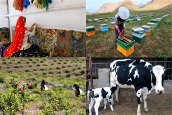 پرداخت تسهیلات اشتغال روستایی به 416 طرح پرداخت تسهیلات اشتغال روستایی به 416 طرح