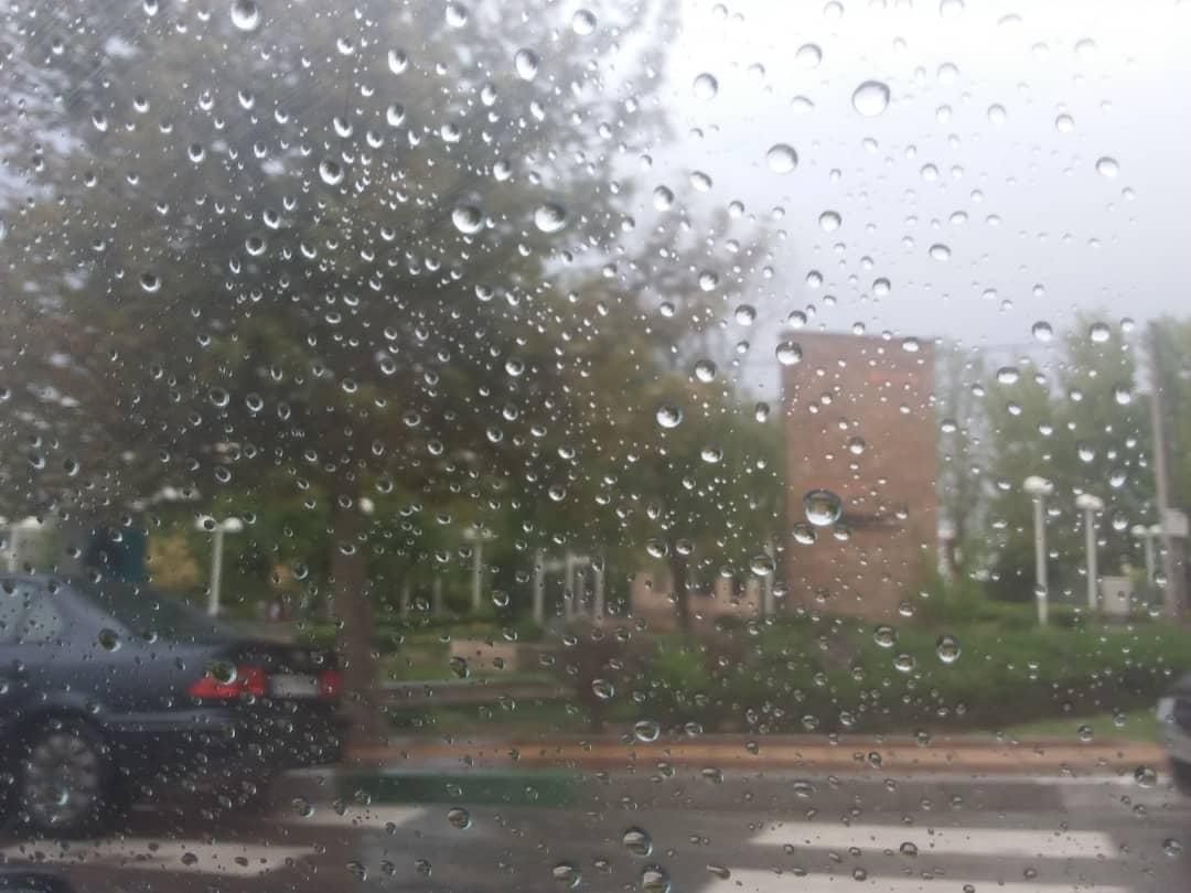 باد و باران شدید البرز را درنوردید