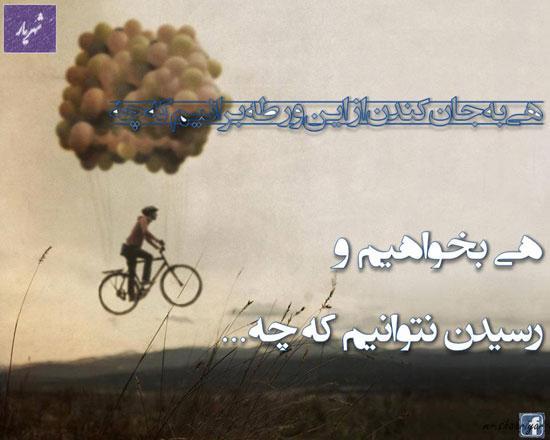 مینی شعر؛ بیا ای خسته خاطر دوست!