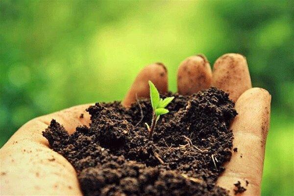 از خاک تا گرسنگی؛ توقف فرسایش خاک، حفظ آینده ما