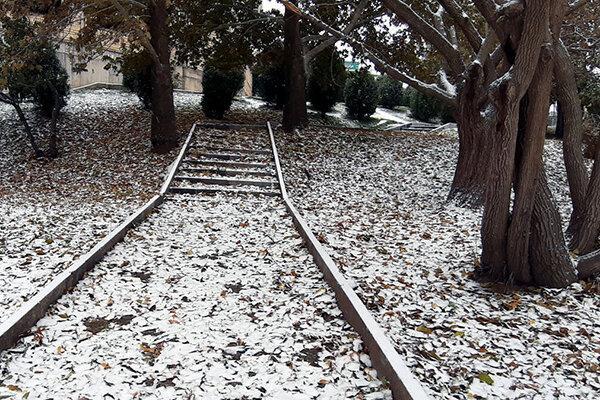 همدان سفیدپوش می گردد
