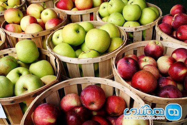 با مصرف این میوه ها، چاق نمی شوید