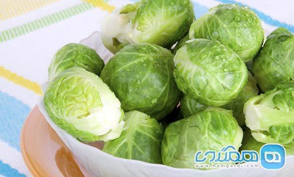 همه چیز درباره کلم که نمی دانید