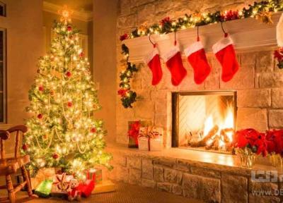 درخت کریسمس و آنچه راجع به آن نمی دانید