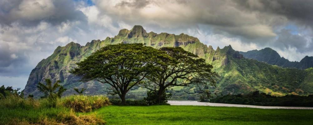 جواهری واقعی بنام خلیج هانااوما، در قلب جزایر هاوایی