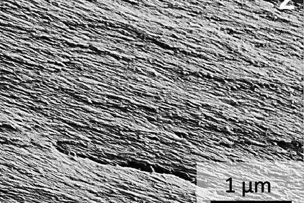 چسب قوی سازگار با محیط زیست از راه رسید