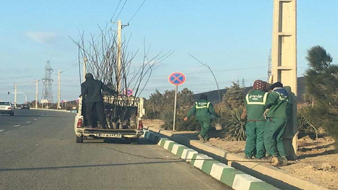 هزار نهال در ورودی شهر سمنان کاشته شد هزار نهال در ورودی شهر سمنان کاشته شد