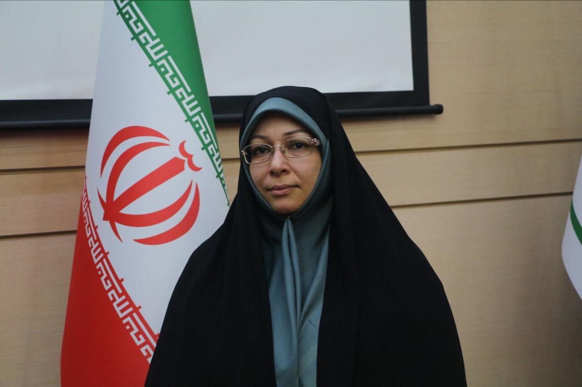 خبرنگاران پیگیری وضعیت زنان سرپرست خانوار و کارآفرین در خبرنگاران پیگیری شرایط زنان سرپرست خانوار و کارآفرین در دستور کار دفاتر زنان و خانواده استانداری ها