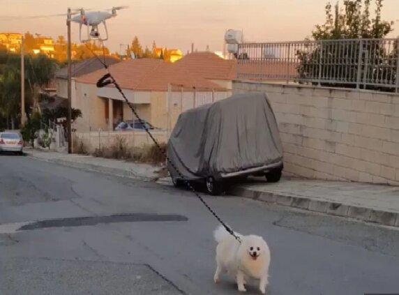 خیابان گردی یک سگ با پهپاد برای مقابله با کرونا