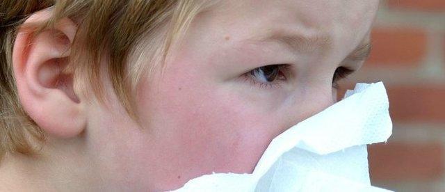 افزایش خطر ابتلا به حساسیت در بچه ها با آلاینده های خانگی