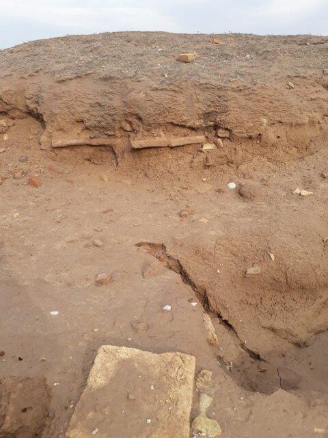 به چشم خودم دیدم که چاله ها را پر می کنند