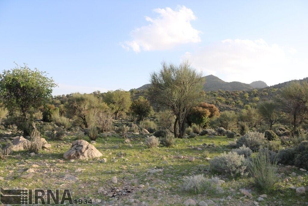 خبرنگاران 11 روستای باشت در منطقه حفاظت شده خامین باشت قرار گرفته است