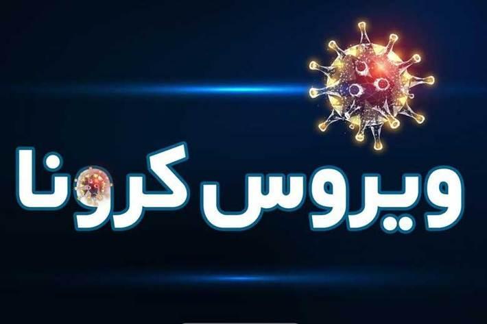 توصیه ضد کرونایی رییس اورژانس کشور به مردم