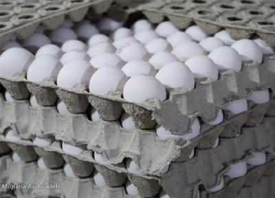 علت افزایش قیمت تخم مرغ چیست؟ ، مدیریت صادرات تخم مرغ برای تنظیم بازار داخلی