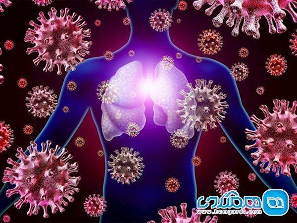 اگر تازه از بیماری کرونا بهبود یافته اید، بخوانید
