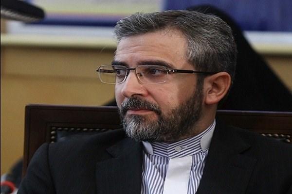 فوت منصوری صدمه ای به ابعاد مختلف پرونده وارد نمی کند