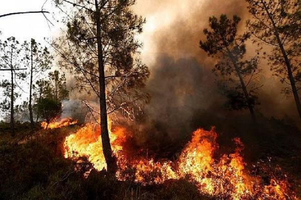 آتش 120 هکتار از منابع طبیعی خمین را سوزاند