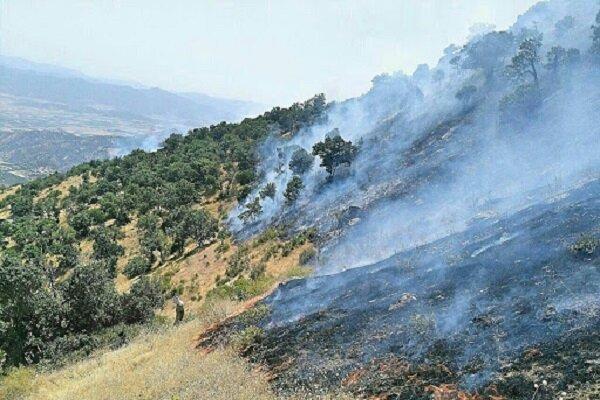 عوامل انسانی باعث آتش سوزی در جنگل های زاگرس است