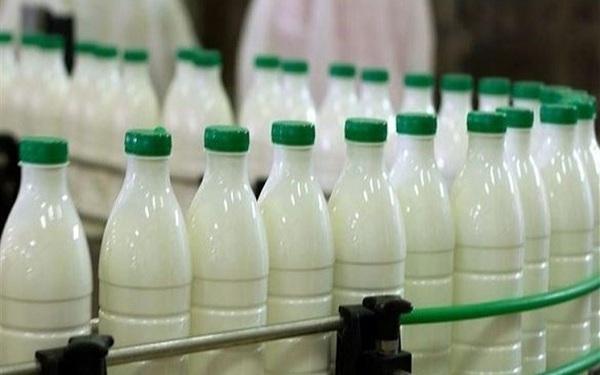 عوارض صادرات شیرخشک قیمت لبنیات را تا 30 درصد گران خواهد نمود