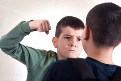 برای کاهش رفتارهای قلدری در دانش آموزان، والدین را آموزش برای کاهش رفتارهای قلدری در دانش آموزان، والدین را آموزش دهید