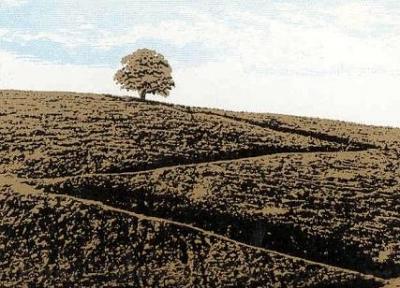 10 فیلم مهم سینمای کودک ایران
