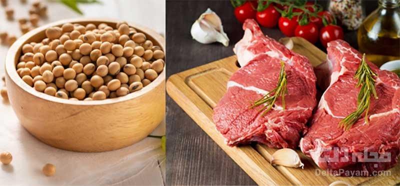 گوشت یا سویا؟ کدام بهتر است؟