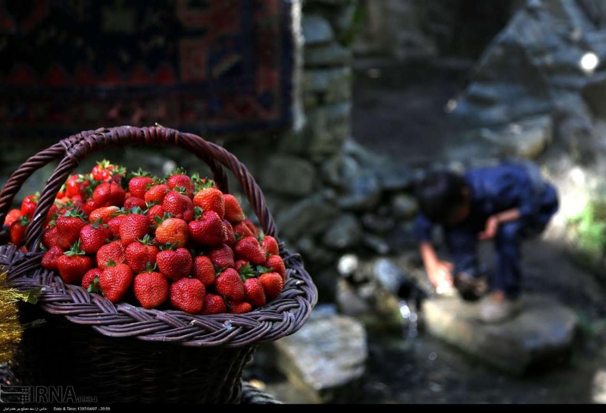 با این خوراکی ها بهتر بخوابید
