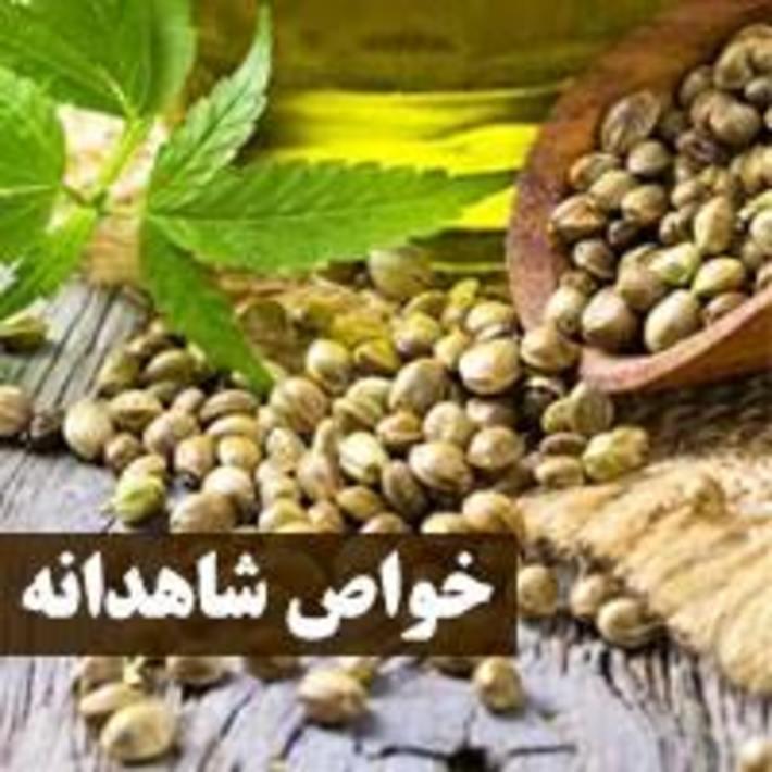 آشنایی با خواص شاهدانه آشنایی با خواص شاهدانه