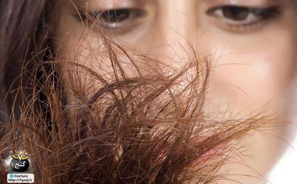 آموزش 16 ماسک موی طبیعی برای موهای آسیب دیده و خشک