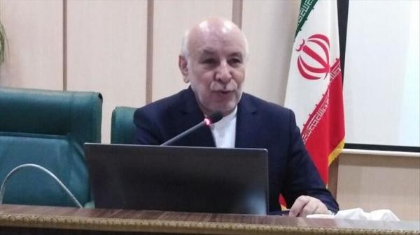 ایران تا 30 سال آینده جزو چهار کشور پیر دنیا خواهد شد، ازدواج و باروری در ایران پایین آمده است