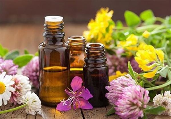 اسانس های گیاهی و نابودی باکتری ها