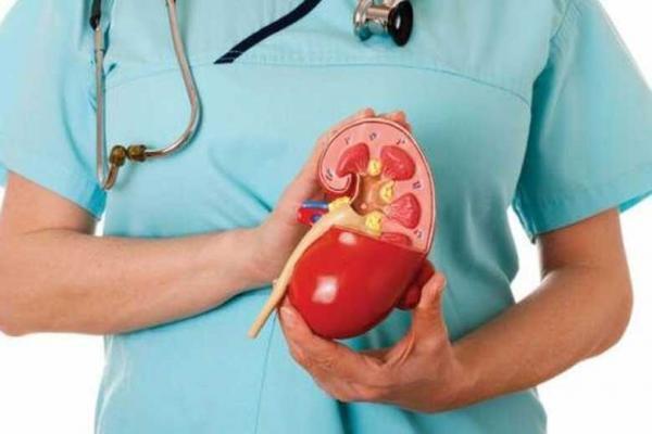 مهمترین علل سرطان کلیه کدامند؟ مهمترین علل سرطان کلیه کدامند؟