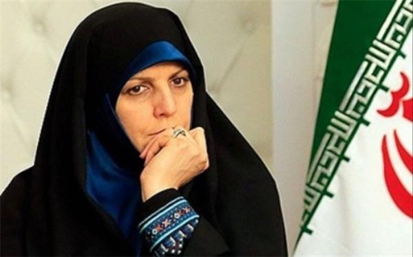شورای نگهبان واژه رجل سیاسی را تفسیر کند