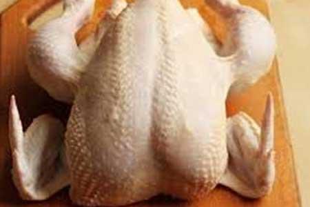 چگونه مرغ فاسد را از مرغ سالم تشخیص دهیم؟