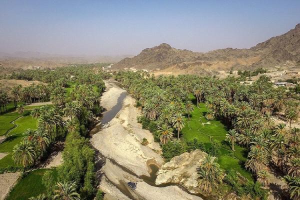 خبرنگاران مرکز شتاب بخش ایده های خلاق گردشگری استان مرکزی ایجاد می گردد