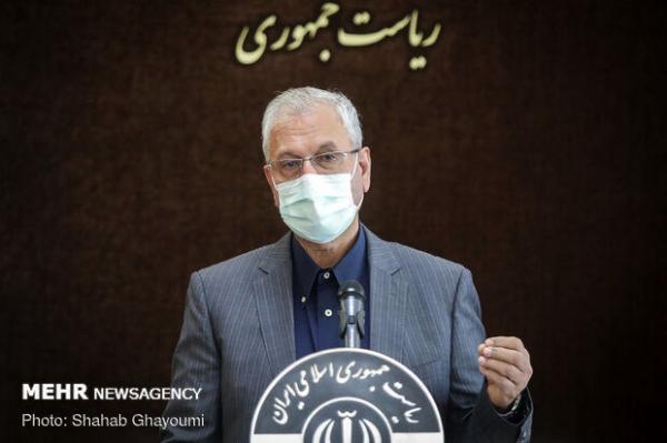شرح سخنگوی دولت درباره کمبود جوجه یک روزه