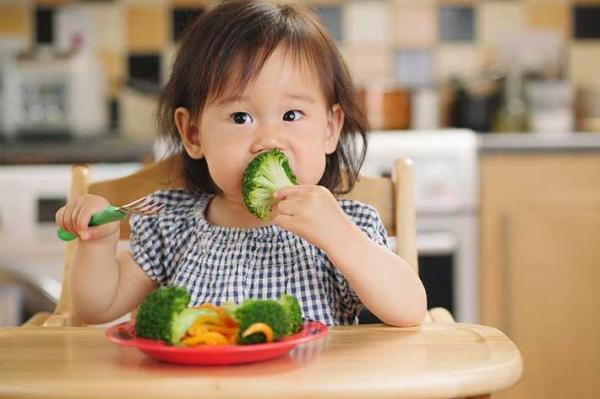 کودک بی اشتها را چگونه درمان کنیم؟ کودک بی اشتها را چگونه درمان کنیم؟