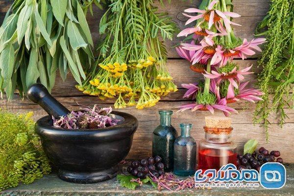 شربت هایی برای جلوگیری از گرمازدگی شربت هایی برای جلوگیری از گرمازدگی
