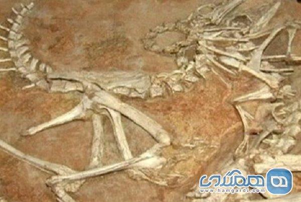 کارگروه ملی جهت تکمیل مرکز تحقیقات فسیل شناسی مراغه تشکیل کارگروه ملی جهت تکمیل مرکز تحقیقات فسیل شناسی مراغه تشکیل شد
