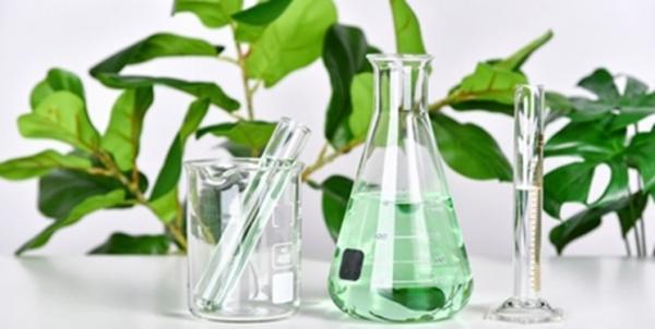 ارائه 35 بسته حمایتی به پژوهشگران تجاری ساز در صنعت گیاهان دارویی