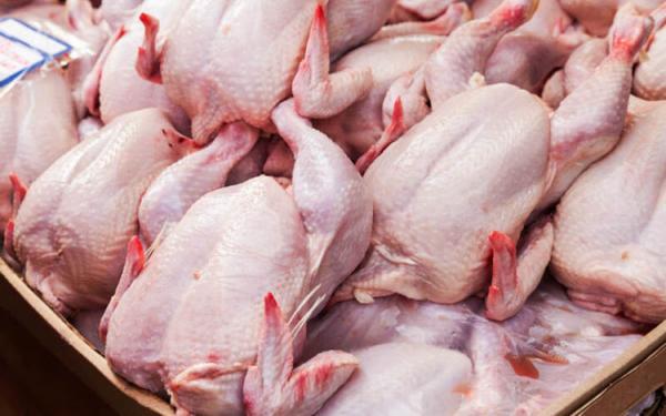 گوشت مرغ رکوردار رشد قیمت در فروردین ماه شد