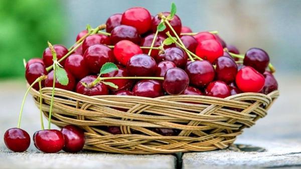 اثر خوردن گیلاس بر بدن انسان ها اثر خوردن گیلاس بر بدن انسان ها