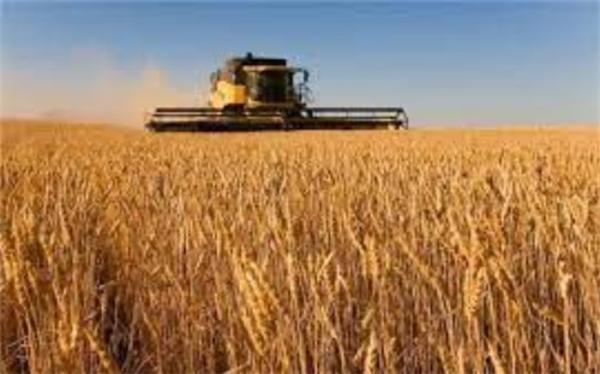 افزایش 40 درصدی نرخ خرید تضمینی محصولات کشاورزی