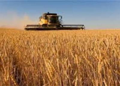 افزایش 40 درصدی نرخ خرید تضمینی محصولات کشاورزی